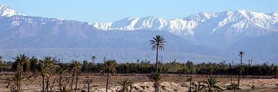 Une magnifique Palmeraie à 6 km au sud de Marrakech